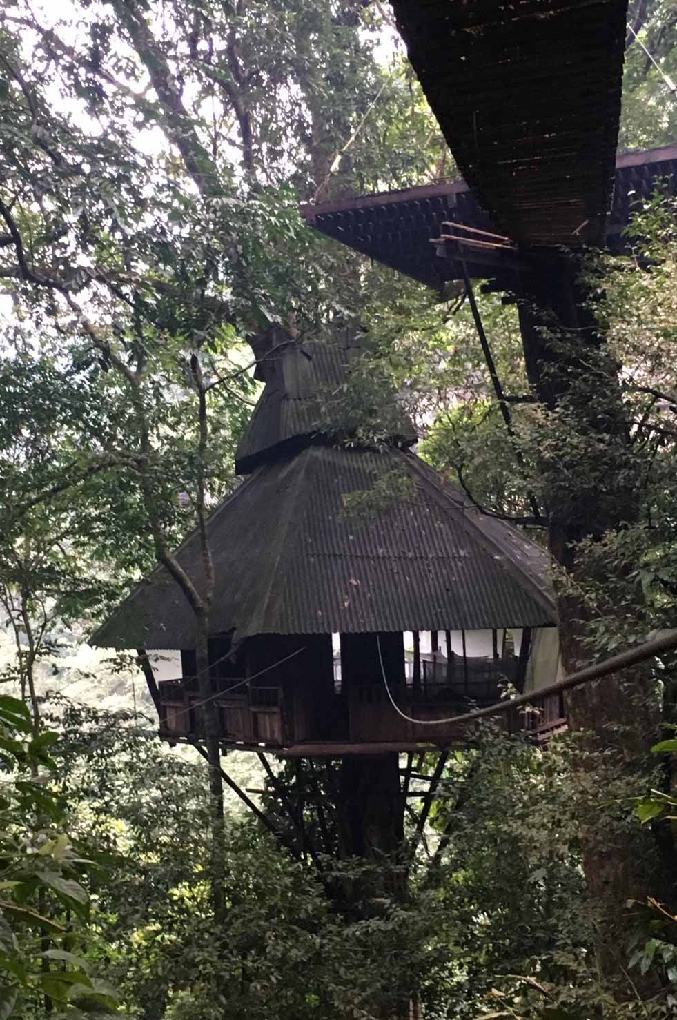 Tree Top Explorer Laos Trip บนที่ราบสูงโบลาเว่น ประเทศลาว GRAND PRIX