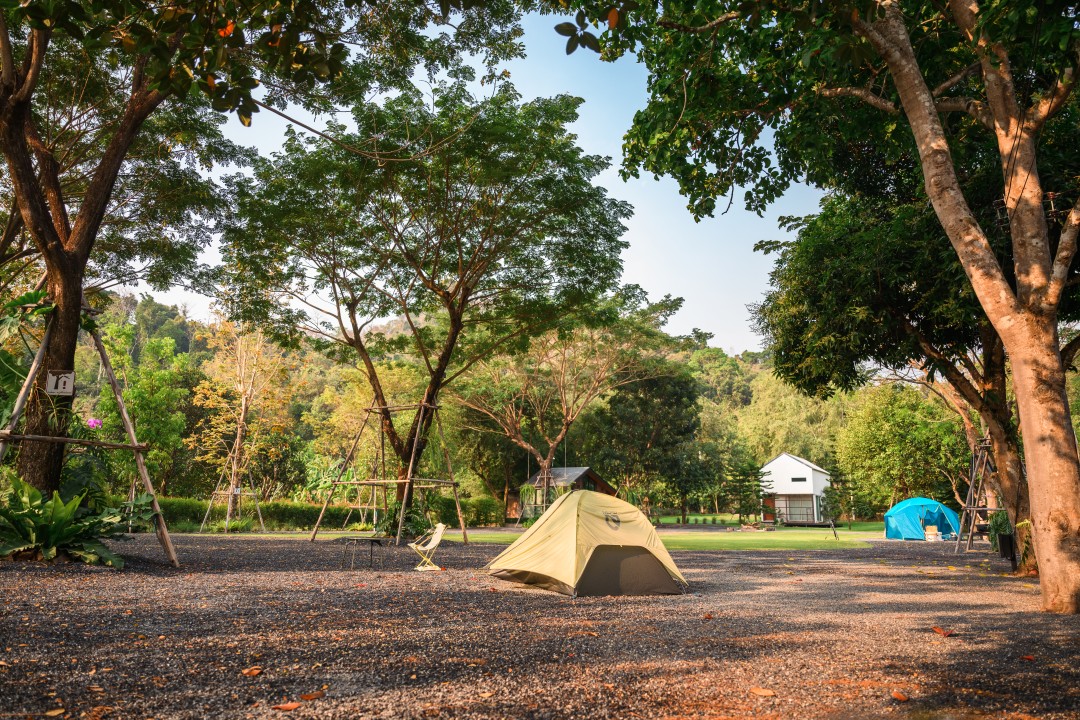 Solo Camping ที่ All Camp