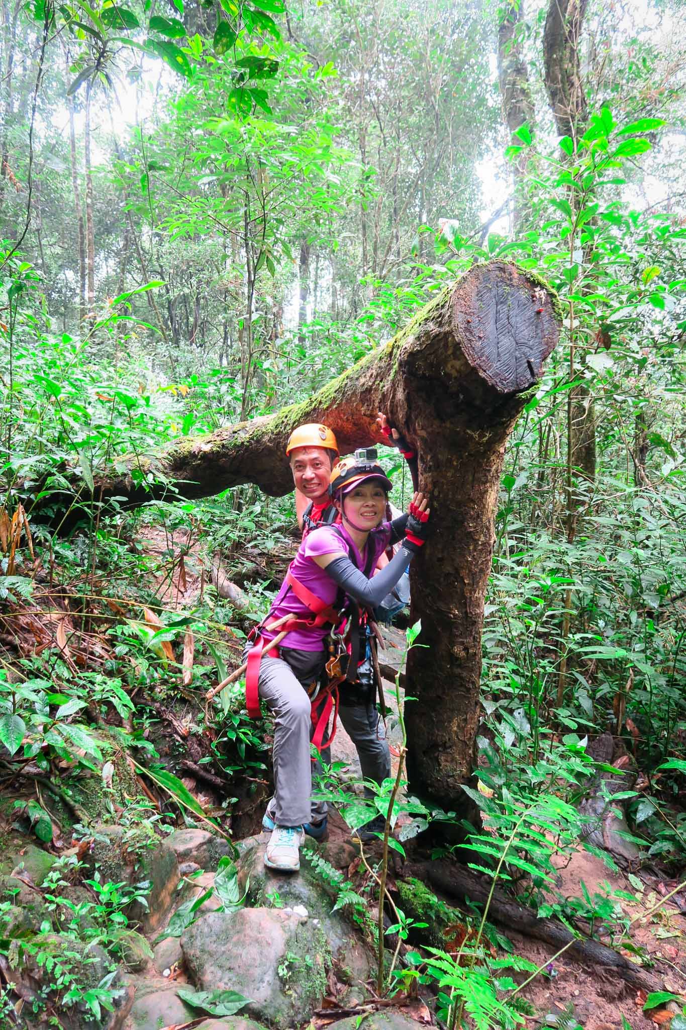Tree Top Explorer Laos Trip บนที่ราบสูงโบลาเว่น ประเทศลาว GRAND PRIX
